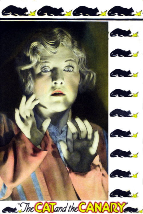The Cat and the Canary (1927) poster