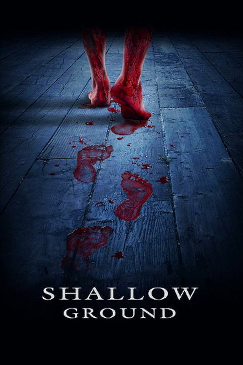 Shallow Ground (2004) poster