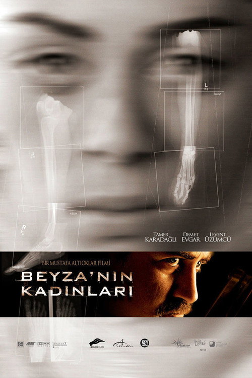 Shattered Soul (2006) poster