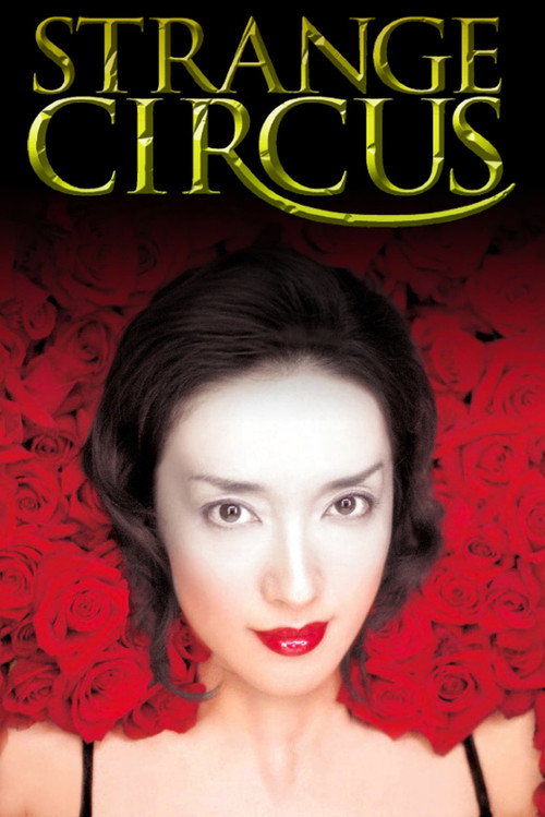 Strange Circus (2005) poster