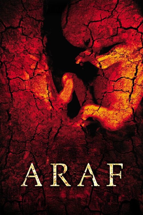 The Abortion (2006) poster