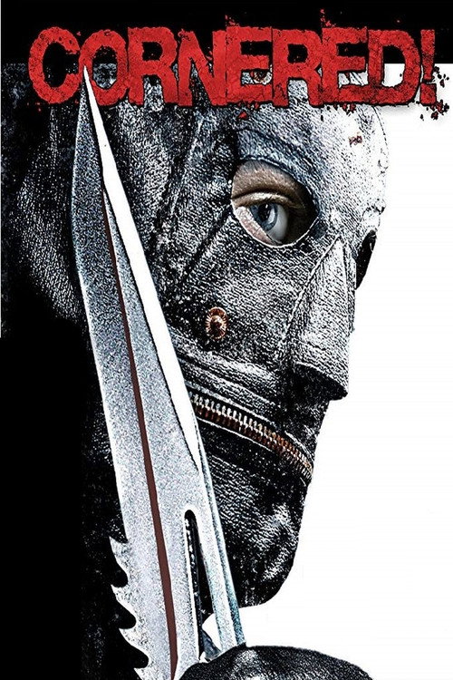 Cornered! (2008) poster