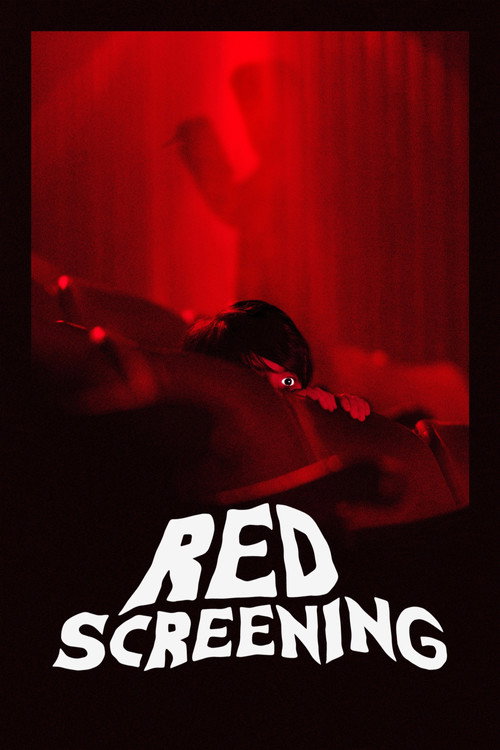 The Last Matinee (2020) poster
