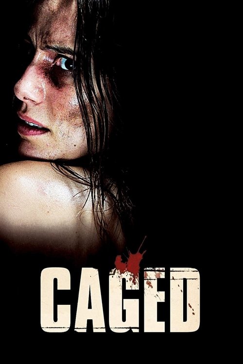 Captifs (2010) poster