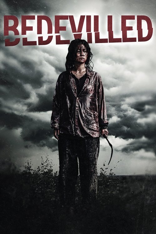 Bedevilled (2010) poster