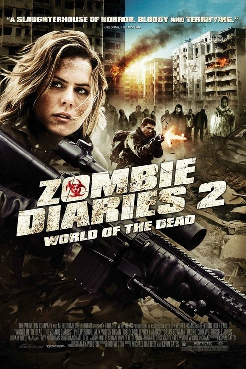 Zombie Diaries 2 (2011) poster