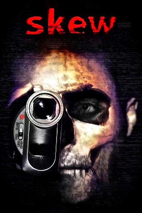 Skew (2011) poster