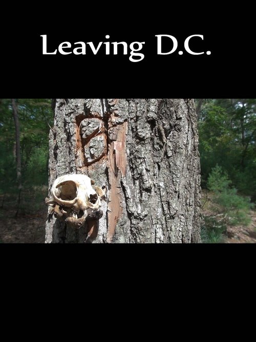 Leaving D.C. (2012) poster