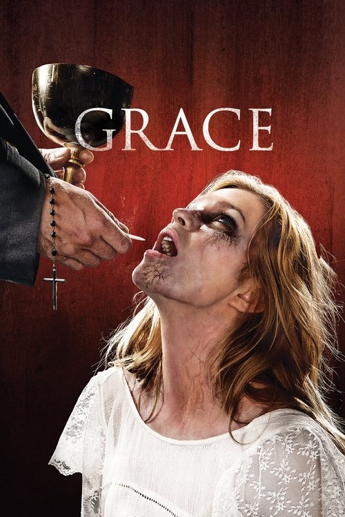 Grace: The Possession (2014) poster