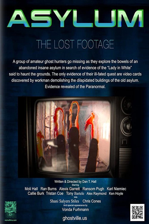 Asylum, the Lost Footage (2013) poster