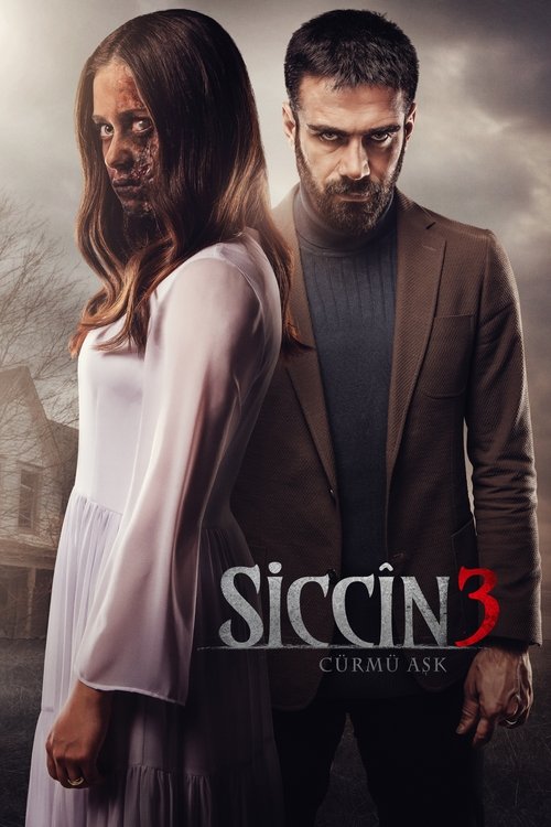 Sijjin 3: Love (2016) poster