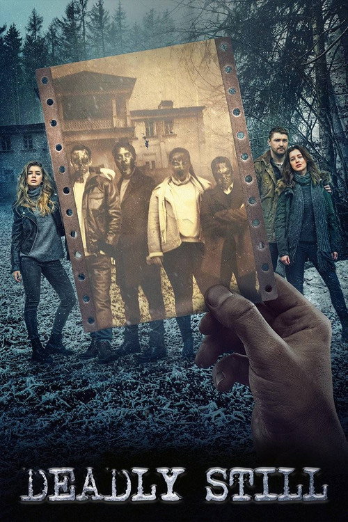 Deadly Still (2018) poster