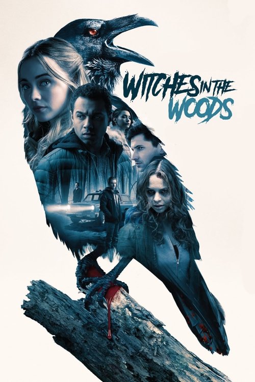 Witches in the Woods (2019) poster