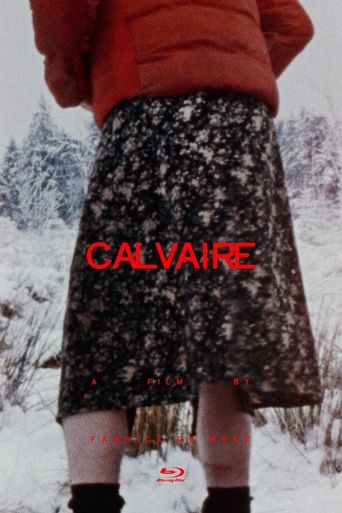 Calvaire (2004) poster