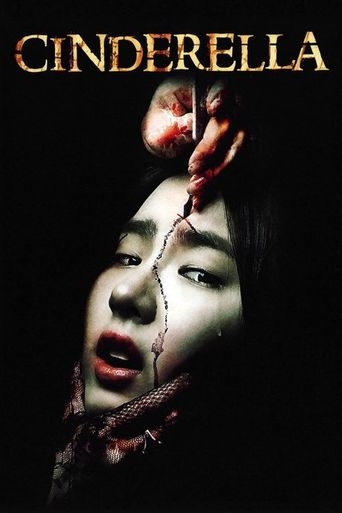 Cinderella (2006) poster